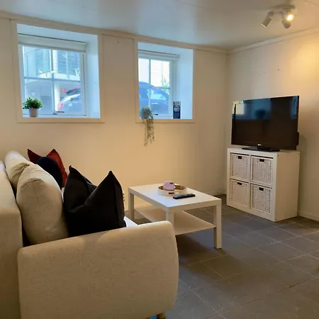 New Cozy Basement * Μπέργκεν